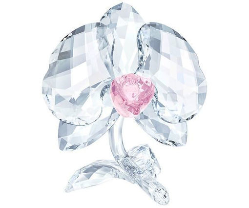 Swarovski figurer. Orchid - 5301562