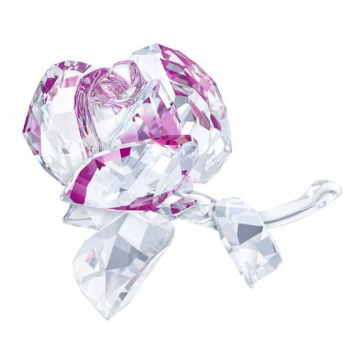 Swarovski figurer. Blossoming Rose - 5248878