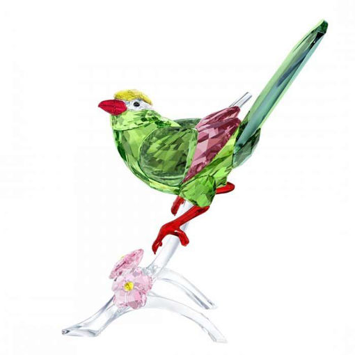 Swarovski figurer. Green Magpie - 5244650