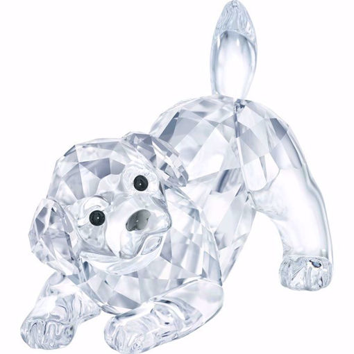 Swarovski figurer Labrador Puppy - 5408608