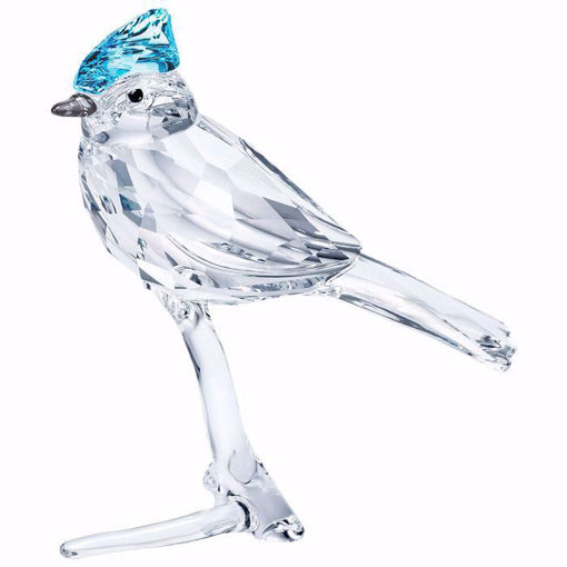 Swarovski figurer Blue Jay - 5470647